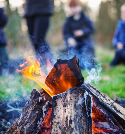 Campfire Toasting Marshmallows