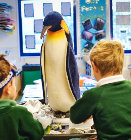 Reception Polar Exploration Penguin