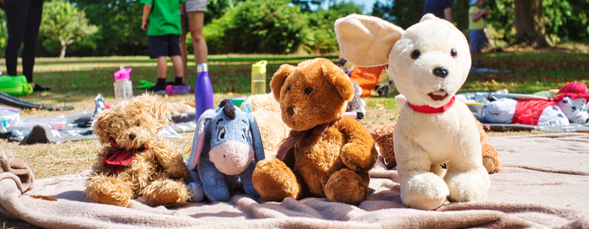 teddy-bears-picnic-give-as-you-live-donate