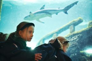 Reception Trip to Bournemouth Oceanarium