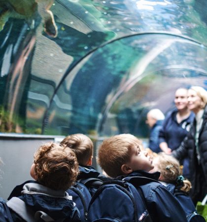 Reception Bournemouth Oceanarium Tunnel