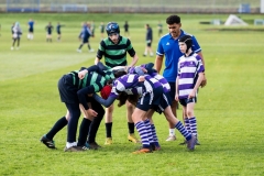 Rugby_U13_2024-1002