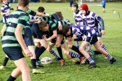 Rugby_U13_2024-1003