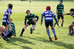 Rugby_U13_2024-1005