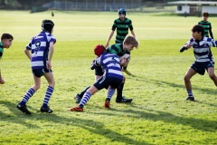 Rugby_U13_2024-1006