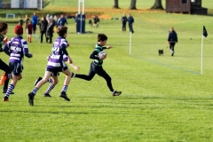 Rugby_U13_2024-1007