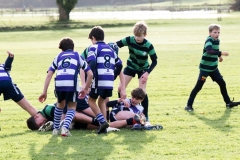 Rugby_U13_2024-1008