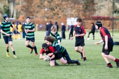 Rugby_U13_2024-1010