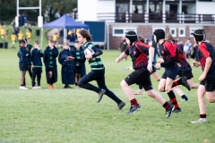 Rugby_U13_2024-1011