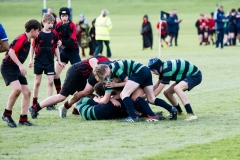 Rugby_U13_2024-1013