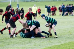 Rugby_U13_2024-1014