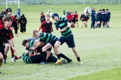 Rugby_U13_2024-1015