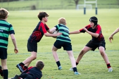 Rugby_U13_2024-1018