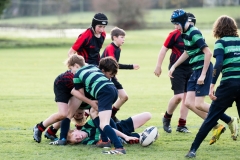 Rugby_U13_2024-1022