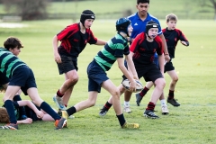 Rugby_U13_2024-1023