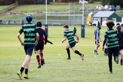 Rugby_U13_2024-1025