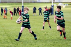 Rugby_U13_2024-1028