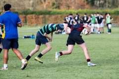 Rugby_U13_2024-1029