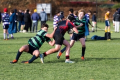 Rugby_U13_2024-1031