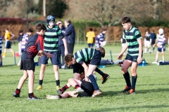 Rugby_U13_2024-1032