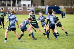 Rugby_U13_2024-1043