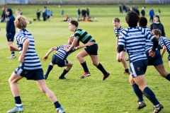 Rugby_U13_2024-1046