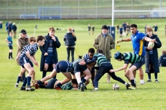 Rugby_U13_2024-1049