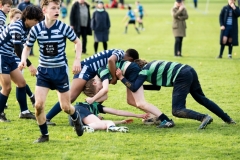 Rugby_U13_2024-1050