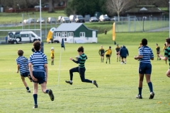 Rugby_U13_2024-1051