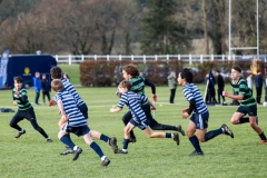 Rugby_U13_2024-1052