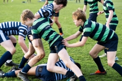 Rugby_U13_2024-1053