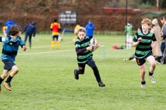 Rugby_U13_2024-1059