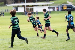 Rugby_U13_2024-1067