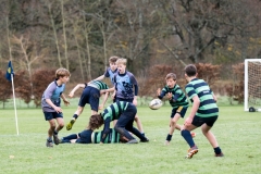 Rugby_U13_2024-1075